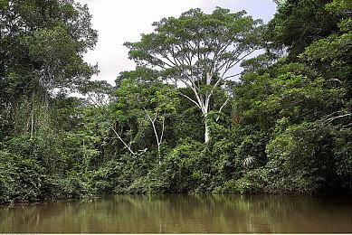 《刺客信条》美术总监离开育碧 曾任职16年